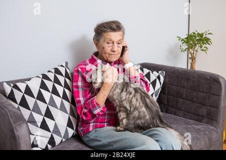 Vieux thème personne utilise la technologie. Satisfait de la maturité de la joie active sourire cheveux gris Caucasian woman rides accueil salon sur canapé avec fluffy Banque D'Images