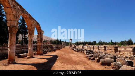 Arches byzantines de magasins le long de Cardo Maximus dans la capitale de la dynastie Umayyad, Anjar, Bekaa Valley, Liban, Moyen-Orient, couleur Banque D'Images