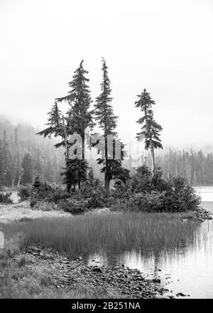 Callaghan Valley près de Whistler, C.-B. Banque D'Images