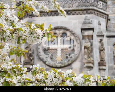 Chapelle Rosslyn avec arbres à prune fleuris près d'Édimbourg, Écosse. Banque D'Images