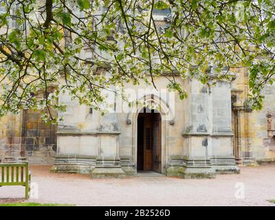 Chapelle Rosslyn avec arbres à prune fleuris près d'Édimbourg, Écosse. Banque D'Images