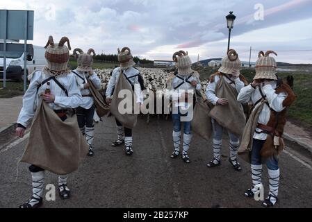 Borobia, Espagne. 29 février 2020. Les révéeurs vêtus de costumes Zarrones participant au festival.le festival Zarrones est l'un des plus anciens carnavals traditionnels des provinces de Soria d'origine médiévale, Là où Zarrones (participants) portent des peaux d'animaux et des paniers en osier avec des cornes de bélier et jettent des pailles de blé à leurs voisins comme symbole de fertilité et pour accueillir le printemps. Crédit: Sopa Images Limited/Alay Live News Banque D'Images