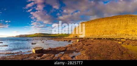 Des cieux bleus profonds contrastent avec les falaises dorées De La Côte jurassique de la baie de Kimmeridge à Dorset Banque D'Images