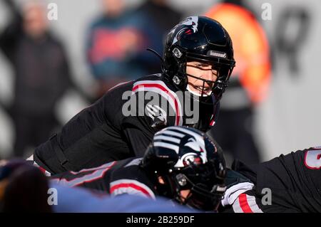 East Rutherford, New Jersey, États-Unis. 29 février 2020. New York Guardians quarterback Luis Perez (7) en action pendant le match XFL au MetLife Stadium dans East Rutherford, New Jersey. Les gardiens ont gagné 17-14. Christopher Szagola/Csm/Alay Live News Banque D'Images