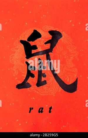 La calligraphie chinoise 'hu' écrit sur du papier rouge avec le Dragon chinois et le motif Phoenix pour célébrer la nouvelle année chinoise 2020 du rat. Banque D'Images