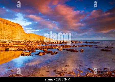 Des cieux bleus profonds contrastent avec les falaises dorées De La Côte jurassique de la baie de Kimmeridge à Dorset Banque D'Images