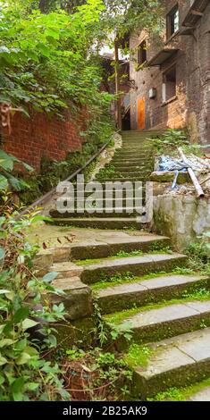 Montez les escaliers en pierre. Des escaliers et des plantes vertes. Environnement confortable. Bon endroit pour une promenade tranquille Banque D'Images