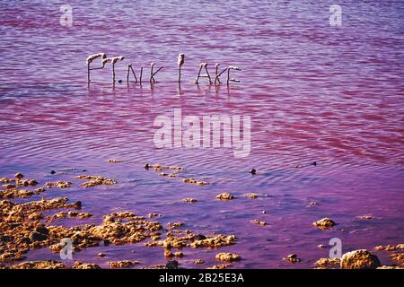 Lacs de sel rose dans l'ouest de l'australie près de Port Gregory les lacs changent à travers le spectre du rouge à la gomme à bulles rose à la violette lilas il est alimenté par Banque D'Images