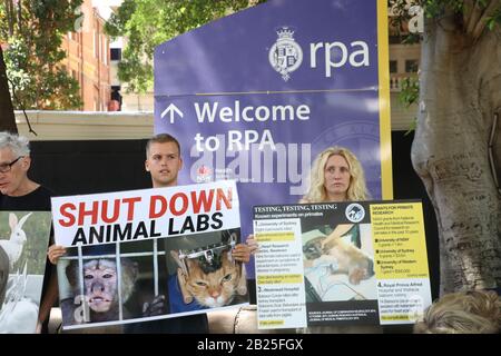 Sydney, Australie. 1er Mars 2020. Parti de la justice animale le sénateur de Nouvelle-Galles du Sud Emma Hurst et les Save Animals in Laboratories de Sydney ont organisé un rassemblement à l'extérieur de l'hôpital Royal Prince Alfred pour protester contre l'utilisation des animaux dans l'expérimentation médicale, suite à la tentative d'évasion de trois babouons à RPAH. Crédit: Richard Milnes/Alay Live News Banque D'Images