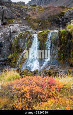Fjords de l'Ouest de l'Islande Göngummanafoss et Dynjandi cascade rouge brousse en automne devant le petit bras latéral Banque D'Images