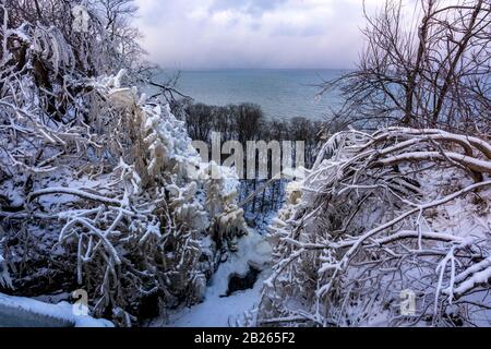 Couverture de glace sur les arbres Banque D'Images