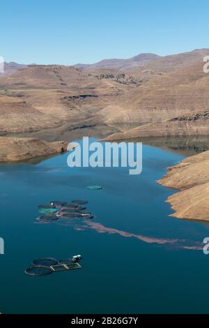 Ferme de truites au barrage de Katse, au Lesotho Banque D'Images