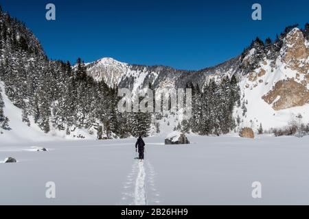 Un homme fait des randonnées à ski dans la Vallée des Avals près de la station alpine française de Courchevel après une chute de neige fraîche le jour ensoleillé. Banque D'Images