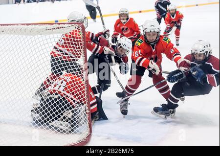 Tyumen, Russie - 14 avril 2013: Tournoi de hockey sur prix A. P. Vahrin parmi des équipes d'enfants jusqu'à 9 ans. Jeu Entre Gazovik 04 (Tyum Banque D'Images