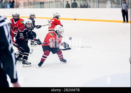 Tyumen, Russie - 14 avril 2013: Tournoi de hockey sur prix A. P. Vahrin parmi les équipes d'enfants jusqu'à 9 ans. Jeu Entre Gazovik 04 (Tyumen) Banque D'Images