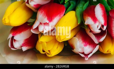 Bouquet de tulipes colorées. Gros Plan. Mise au point sélective. Banque D'Images