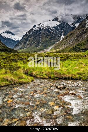 Mt Mcpherson, Mt Talbot, Monkey Creek À Hollyford River, Te Anau Milford Highway, Fiordland Natl Park, Région Du Sud, Île Du Sud, Nouvelle-Zélande Banque D'Images