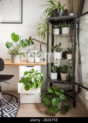 Salle d'étude moderne industrielle noir et blanc avec de nombreuses plantes vertes telles que des plantes à crêpes et des cactus créant une jungle urbaine sentiment. Banque D'Images