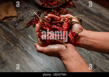 gros plan de piment mexicain sec dans les mains sur une table en bois Banque D'Images