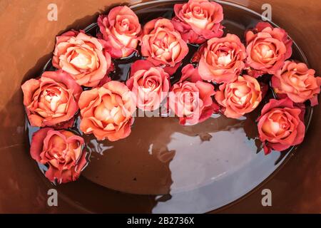 Roses rouges avec vue sur le dessus de l'eau Banque D'Images