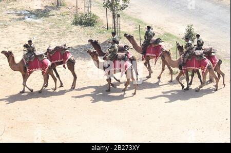 Les soldats du FSB avec des chameaux avant la visite du Président des États-Unis, M. Donald Trump, à Motera/Ahmedabad/Gujarat/Inde Banque D'Images