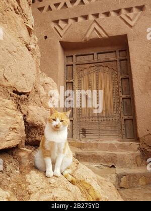 Chat rouge près de l'entrée de la maison d'argile (boue). Banque D'Images