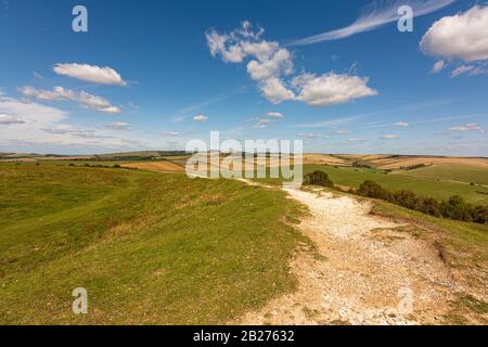 Vue sur le nord et le périphérique de Chanctonbury depuis le périphérique Cissbury dans le parc national de South Downs, West Sussex, sud de l'Angleterre, Royaume-Uni. Banque D'Images