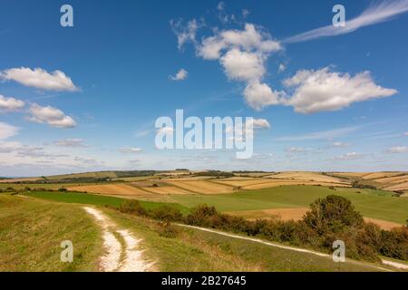 Vue sur le nord et le périphérique de Chanctonbury depuis le périphérique Cissbury dans le parc national de South Downs, West Sussex, sud de l'Angleterre, Royaume-Uni. Banque D'Images