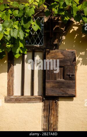 Une ancienne fenêtre en bois rustique avec obturateur dans un mur d'argile jaune et le feuillage vert au-dessus dans un style traditionnel flamand Banque D'Images