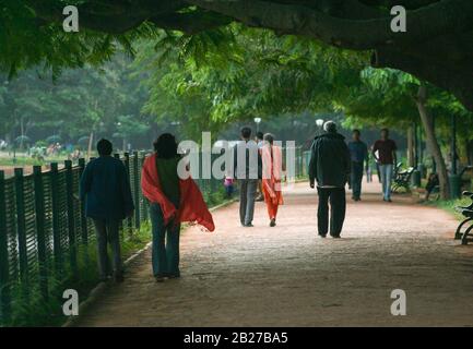 Les gens marchant tranquillement le long d'une allée ombragée avec de grands arbres (photo prise dans le jardin botanique de Lalbagh, Bangalore, Inde) Banque D'Images