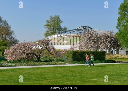 Blühende Bäume, Beete, Sealife, Berggarten, Herrenhäuser Gärten, Hanovre, Niedersachsen, Allemagne Banque D'Images