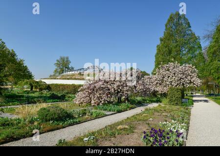 Blühende Bäume, Beete, Sealife, Berggarten, Herrenhäuser Gärten, Hanovre, Niedersachsen, Allemagne Banque D'Images