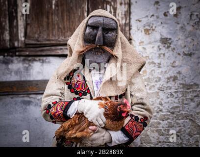 Portrait d'un homme vêtu d'un costume de « buso » tenant un poulet pendant les festivités annuelles du buso à Mohacs, dans le sud de la Hongrie Banque D'Images