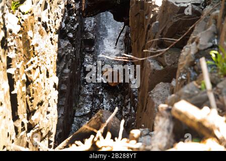 Parcs et loisirs Volume 3 : Paterson Great Falls Parc national historique au New Jersey. Banque D'Images