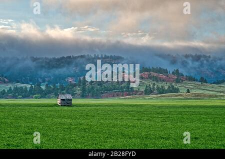Petite cabane en bois vieillie dans un champ vert tôt le matin avec herbe couverte d'arbres et collines rouillées mêlées à la brume en arrière-plan Banque D'Images