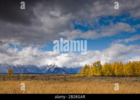 Des nuages qui couraient le ciel au-dessus de la chaîne de montagnes de Teton, vus de l'autre côté de la barrière de rail en bois et qui tombent le feuillage du tremble à craqueler au premier plan Banque D'Images