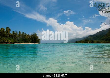 DESTINATION TRANQUILLITÉ : image des eaux claires parfaites existent dans le paradis lagon à Tahiti. Banque D'Images