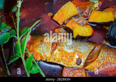 Gros plan de curry de sardines avec morceaux de noix de coco garnies de feuilles de curry Banque D'Images