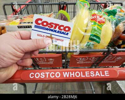 Montréal, CANADA - le 6 AVRIL 2019 : une main tenant une carte d'adhésion Costco sur une voiturette dans l'entrepôt Costco. Costco est une société américaine qui opéra Banque D'Images