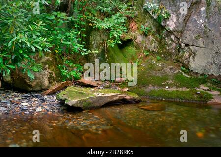 La large mousse couverte de rockface grise couverte de feuilles vertes borde l'eau claire et douce en mouvement pleine de cailloux et de petites pierres Banque D'Images