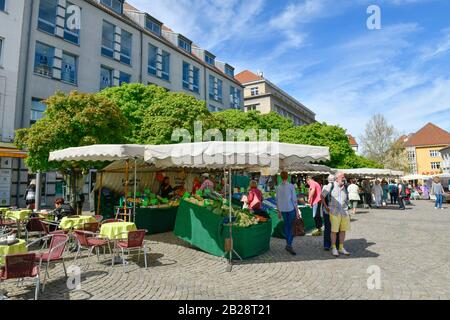 Wochenmarkt, Marktplatz, Altstadt, Spandau, Berlin, Allemagne Banque D'Images