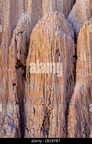 Les textures et les fissures parmi les hoodoos de Cathedral gorge forment de belles textures et motifs en orange et en marron Banque D'Images