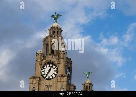 Le Foie oiseaux sur le Royal Liver Building vu le 1er mars 2020 face à des directions opposées à Liverpool. Banque D'Images