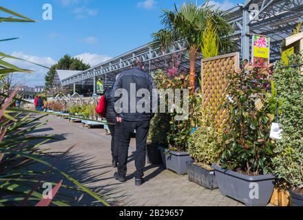 Les gens qui marchent, parcourent et regardent des plantes à vendre dans une pépinière britannique de centre de jardin en Angleterre, au Royaume-Uni. Banque D'Images