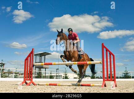 Entraînement équestre. Le jockey prend la barrière. Show sautant Russie Moscou école équestre 09.08.2017 Banque D'Images