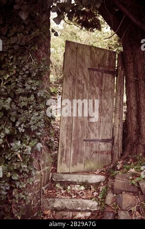 Ensemble de marches en pierre menant à un vieux, crocheté, bois, porte. La porte est suspendue entre un tronc d'arbre et un mur couvert de lierre. Banque D'Images