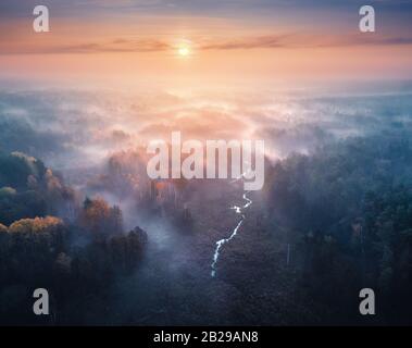Vue aérienne sur la forêt de brouillard et les prairies au lever du soleil en automne Banque D'Images