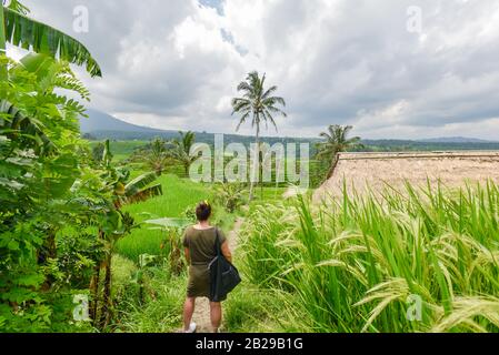 Jeune dame debout et posant sur un été nuageux après-midi devant le parc national Jatiluwih rizicole champ à Bali Indonésie Banque D'Images