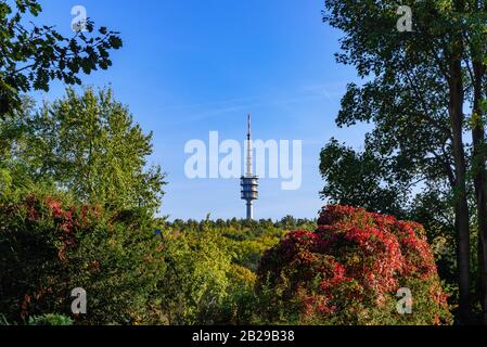 Paysage du sommet de la tour de télévision au-dessus de la forêt et enceinte au premier plan des arbres en automne. Banque D'Images