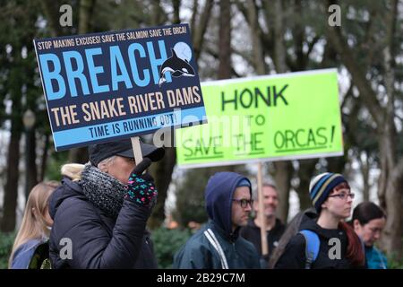 Les militants se réunissent à l'extérieur des bureaux du corps des ingénieurs de l'armée américaine à Portland, en Oregon, le 1er mars 2020, pour exercer une pression contre les organes directeurs le premier jour d'une marche jusqu'à l'écluse et au barrage de Ice Harbour à Burbank, dans l'État de Washington, Recueillir un soutien pour l'enlèvement des quatre barrages inférieurs de la rivière Snake, qu'ils disent responsables de la mort de 8 millions de saumons sauvages chaque année. Après un faible retour record de saumon en Colombie en 2019, les manifestants sont préoccupés par le quinnat en particulier, qui représente 80 % des régimes alimentaires des épaulards résidents du Sud en voie d'extinction. (Photo D'Alex Milan Banque D'Images